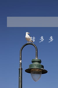 桔多多逾期多久會被起訴