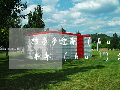 桔多多逾期會(huì)上征信(桔多多逾期半年會(huì)坐牢嗎)
