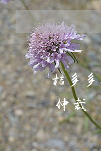 桔多多逾期會網(wǎng)絡(luò)仲裁嗎(桔多多逾期會聯(lián)系單位嗎)
