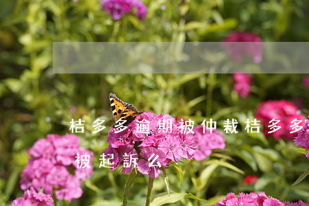 桔多多逾期被仲裁（桔多多逾期會(huì)被起訴么）