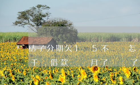 桔子分期欠1萬5不還會怎樣(欠桔子分期幾千塊借款,幾個月了,沒還了)