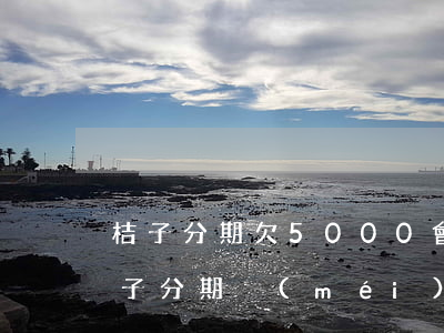 桔子分期欠5000會(huì)怎么樣(桔子分期沒(méi)錢(qián)還會(huì)怎么樣)