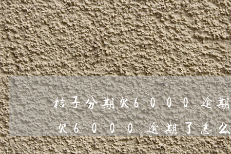 桔子分期欠6000逾期了怎么辦(桔子分期欠6000逾期了怎么辦)