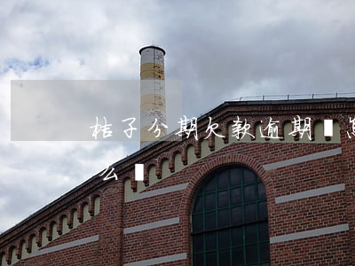 桔子分期欠款逾期會怎么樣(桔子借款逾期怎么辦)