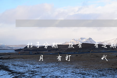 桔子分期貸款有沒有逾期(桔子分期逾期了4個月,沒有打電話給我)