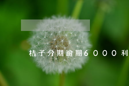 桔子分期逾期6000利息多少-