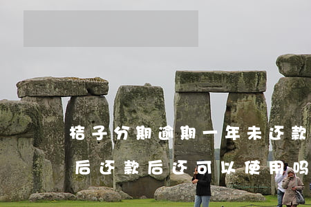 桔子分期逾期一年未还款(桔子分期逾期半年后还款后还可以使用吗)
