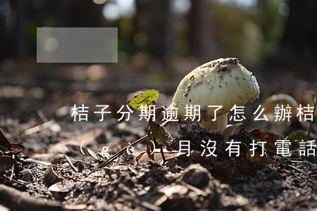 桔子分期逾期了怎么辦(桔子分期逾期了4個(gè)月,沒有打電話給我)