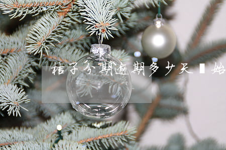 桔子分期逾期多少天開始暴通訊錄