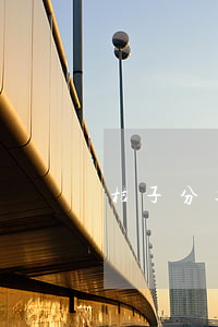 桔子分期逾期會給聯(lián)系人打電話嗎