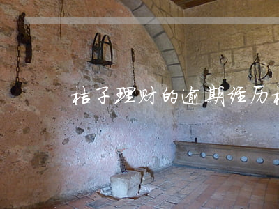 桔子理财的逾期经历(桔子理财最新新闻)