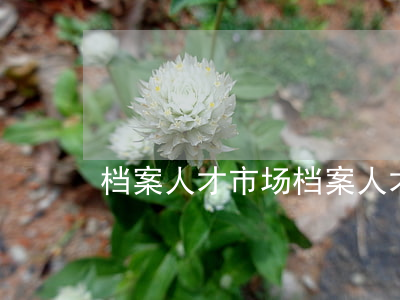 档案 人才市场(档案人才市场托管)