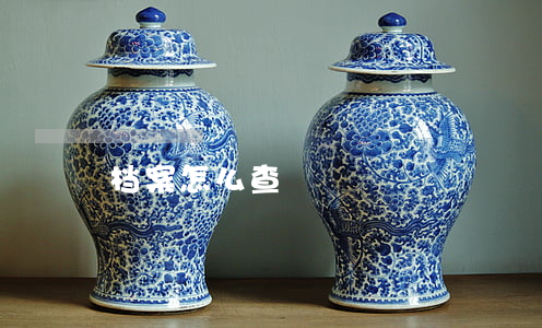 档案怎么查
