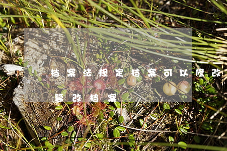 档案法规定档案可以修改吗(档案法规定禁止篡改档案)