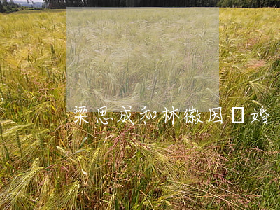 梁思成和林徽因離婚