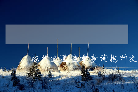 梅州交通违章查询(梅州交警网)