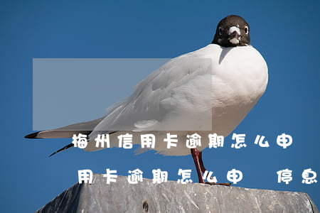 梅州信用卡逾期怎么申請停息掛賬-梅州信用卡逾期怎么申請停息掛賬的