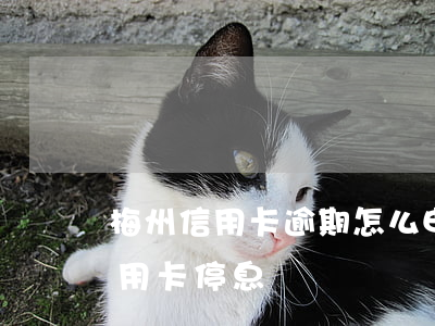 梅州信用卡逾期怎么申請停息掛賬 怎么辦信用卡停息掛賬