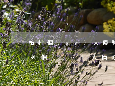 梅州個(gè)人債務(wù)逾期案例(梅州個(gè)人債務(wù)逾期案例判決)