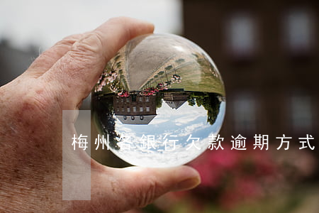 梅州各銀行欠款逾期方式有哪些-