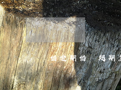 條條借逾期(借條超期怎么辦)