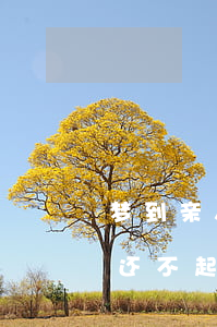 梦到亲人借了高利贷还不了钱（梦见亲人贷款还不起）