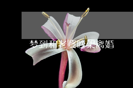 梦到和老婆吵架离婚