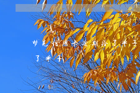 梦见信用卡逾期给了单子(梦见信用卡逾期给了单子)