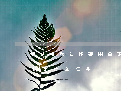 梦见和老公吵架闹离婚(梦见和老公吵架闹离婚是什么征兆)