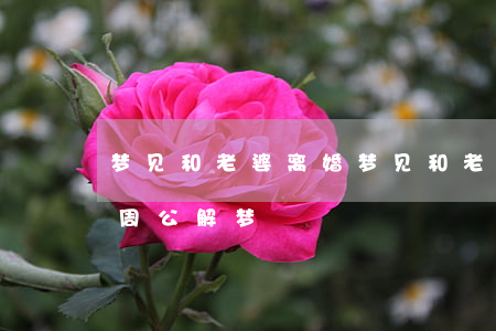 梦见和老婆离婚(梦见和老婆离婚是什么意思周公解梦)