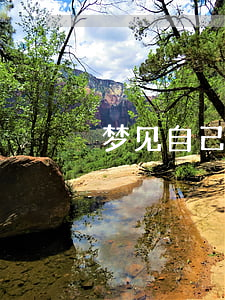 梦见自己逾期还款了(梦见自己信用卡逾期了)