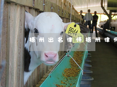 梧州出名律师(梧州律师事务所哪家好)