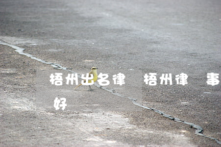 梧州出名律師(梧州律師事務(wù)所哪家好)