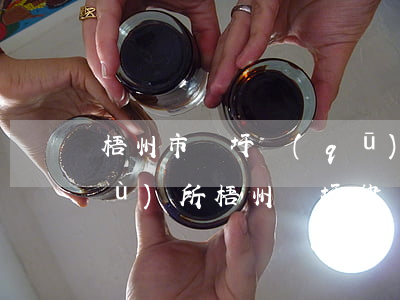 梧州市龍圩區(qū)哪里有律師事務(wù)所(梧州龍圩律師免費(fèi)咨詢)