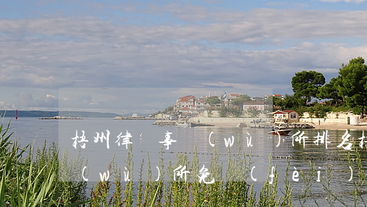 梧州律師事務(wù)所排名(梧州律師事務(wù)所免費(fèi)咨詢)