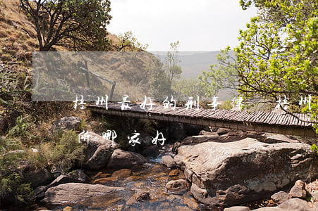 梧州最好的刑事律師(梧州律師事務(wù)所哪家好)