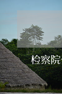 检察院公诉科办案不起诉由谁决定