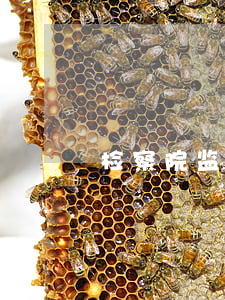 检察院监视居住