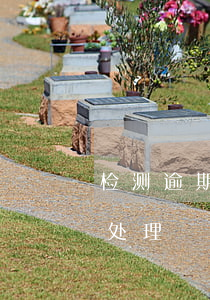 检测逾期十几天未检怎么办(逾期未检验怎么处理)