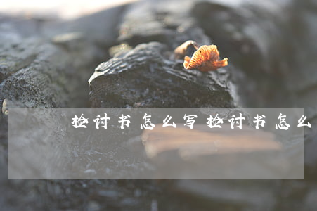 检讨书怎么写(检讨书怎么写学生)