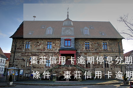 棗莊信用卡逾期停息分期申請(qǐng)條件-棗莊信用卡逾期停息分期申請(qǐng)條件是什么