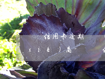 棗莊信用卡逾期債務(wù)重組怎么協(xié)商-棗莊信用卡逾期債務(wù)重組怎么協(xié)商還款