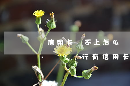 棗莊信用卡還不上怎么辦會(huì)判刑嗎-棗莊銀行有信用卡