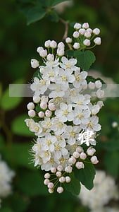棗莊債務(wù)律師網(wǎng)(棗莊律師咨詢電話)