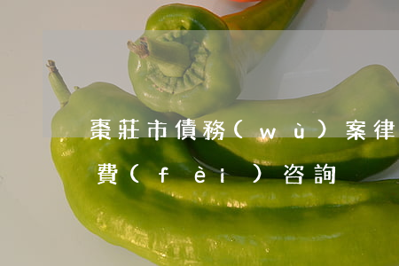 棗莊市債務(wù)案律師推薦(棗莊律師免費(fèi)咨詢)