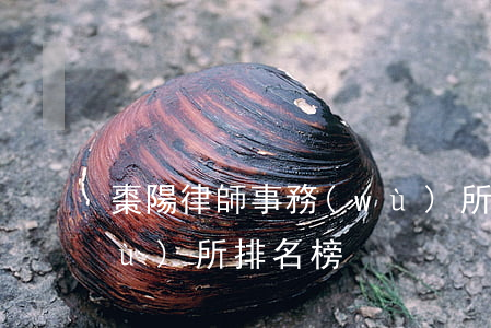 棗陽律師事務(wù)所(棗陽律師事務(wù)所排名榜)