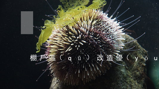 棚戶區(qū)改造優(yōu)惠政策