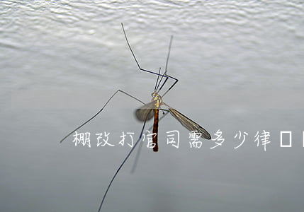 棚改打官司需多少律師費(fèi)