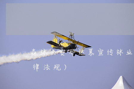 森林公安那达慕宣传林业法律法规(林业法律法规)