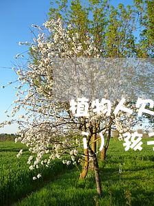植物人欠信用卡(植物人信用卡不還對(duì)孩子有影響嗎)